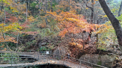 단풍명소_화담숲_추억의정원