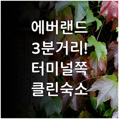 용인 여행 에버랜드 3분 거리 라마다..