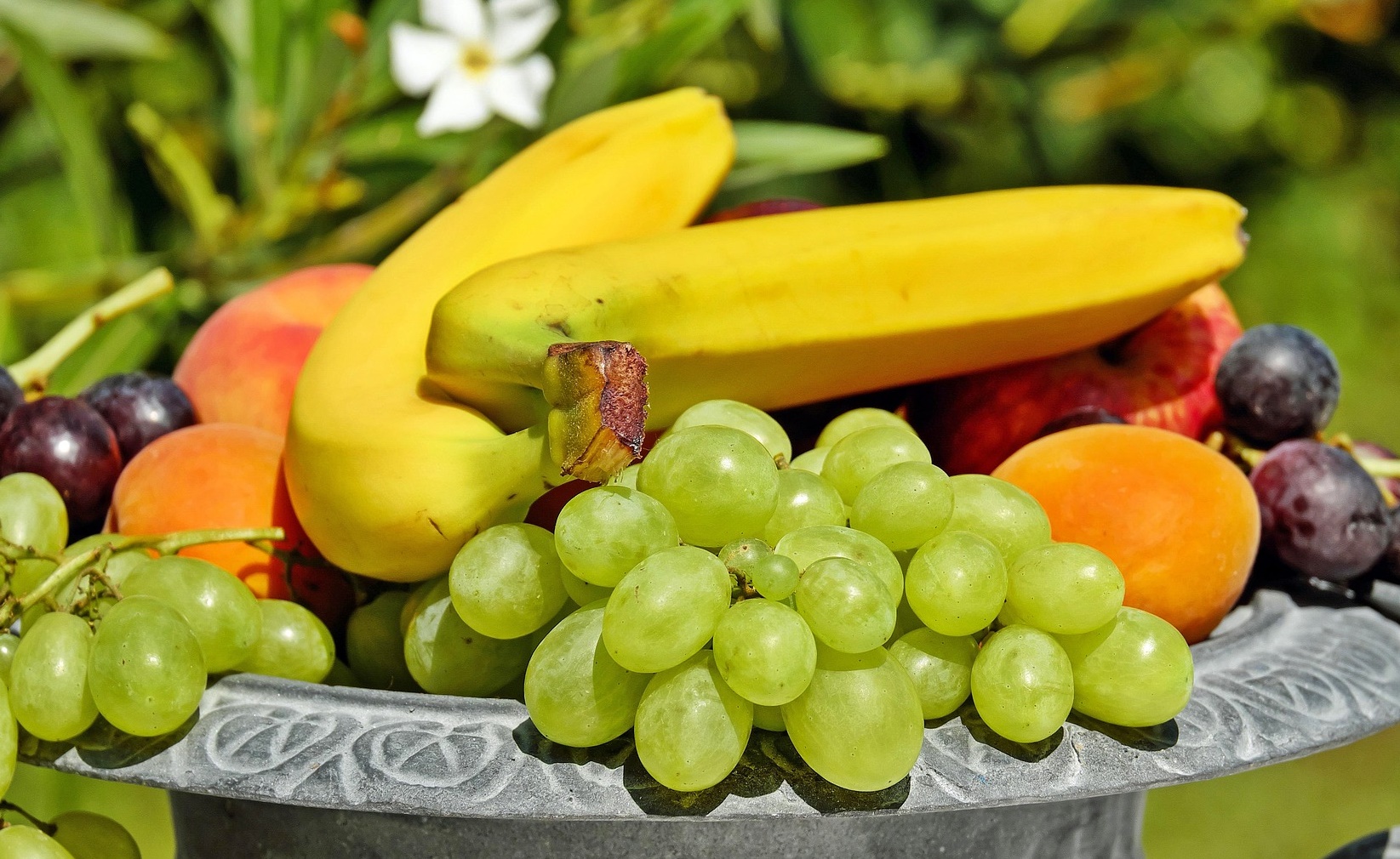 심장이 먼저 망가지는 사람들의 공통된 혈당 습관 5가지