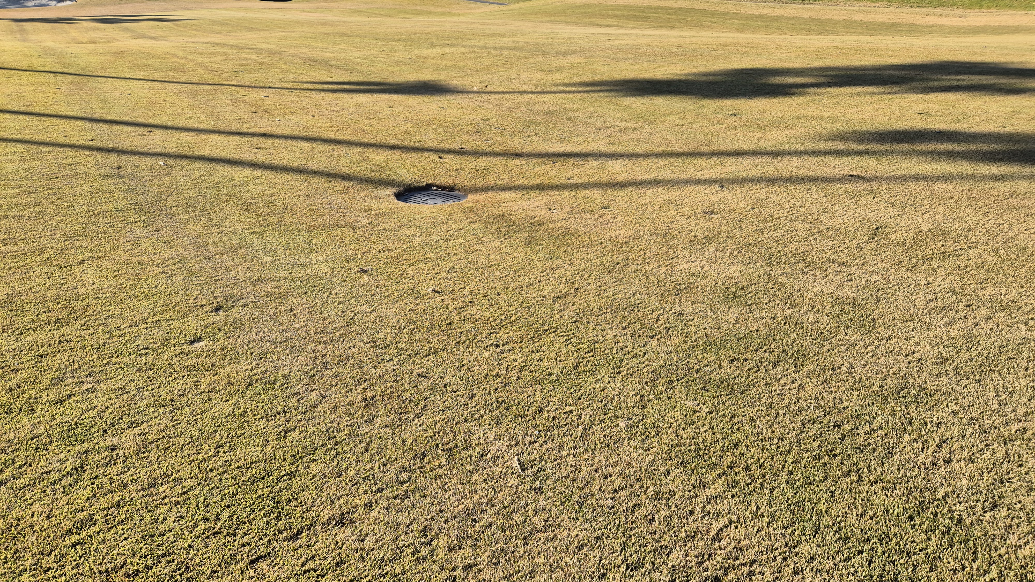 레이캐슬cc 코스 관리 상태