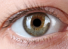 솔티스 눈 프로텍션 프로 후기&amp;#44; 가격&amp;#44; 효능&amp;#44; 먹는법