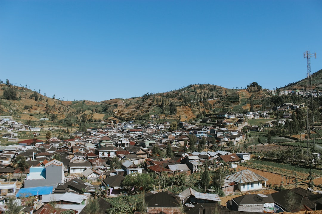 Mugunghwa