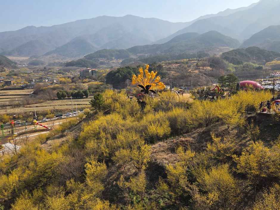 구례산수유꽃축제 기간&amp;#44; 주차장&amp;#44; 초대가수