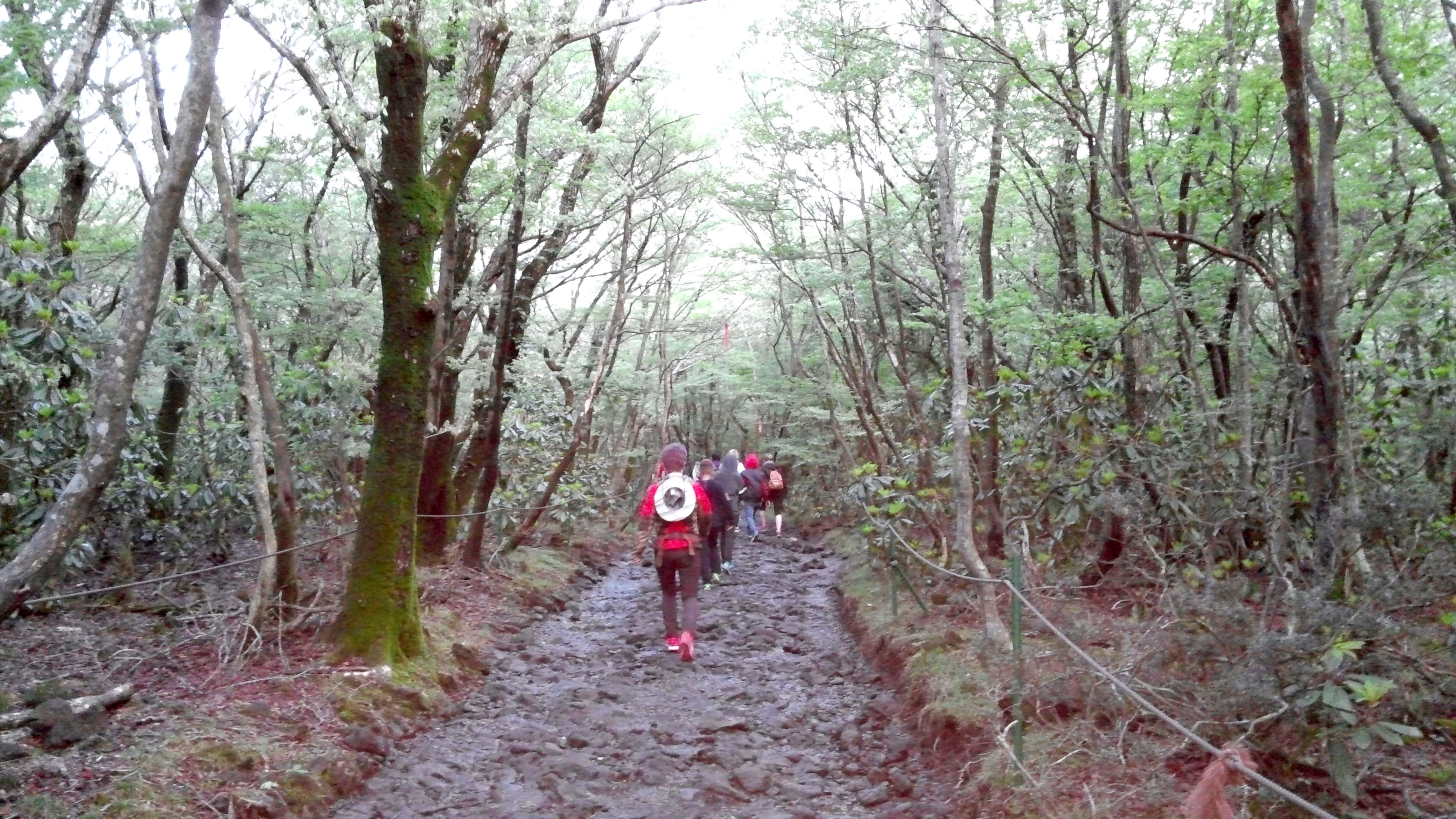 한라산 성판악코스