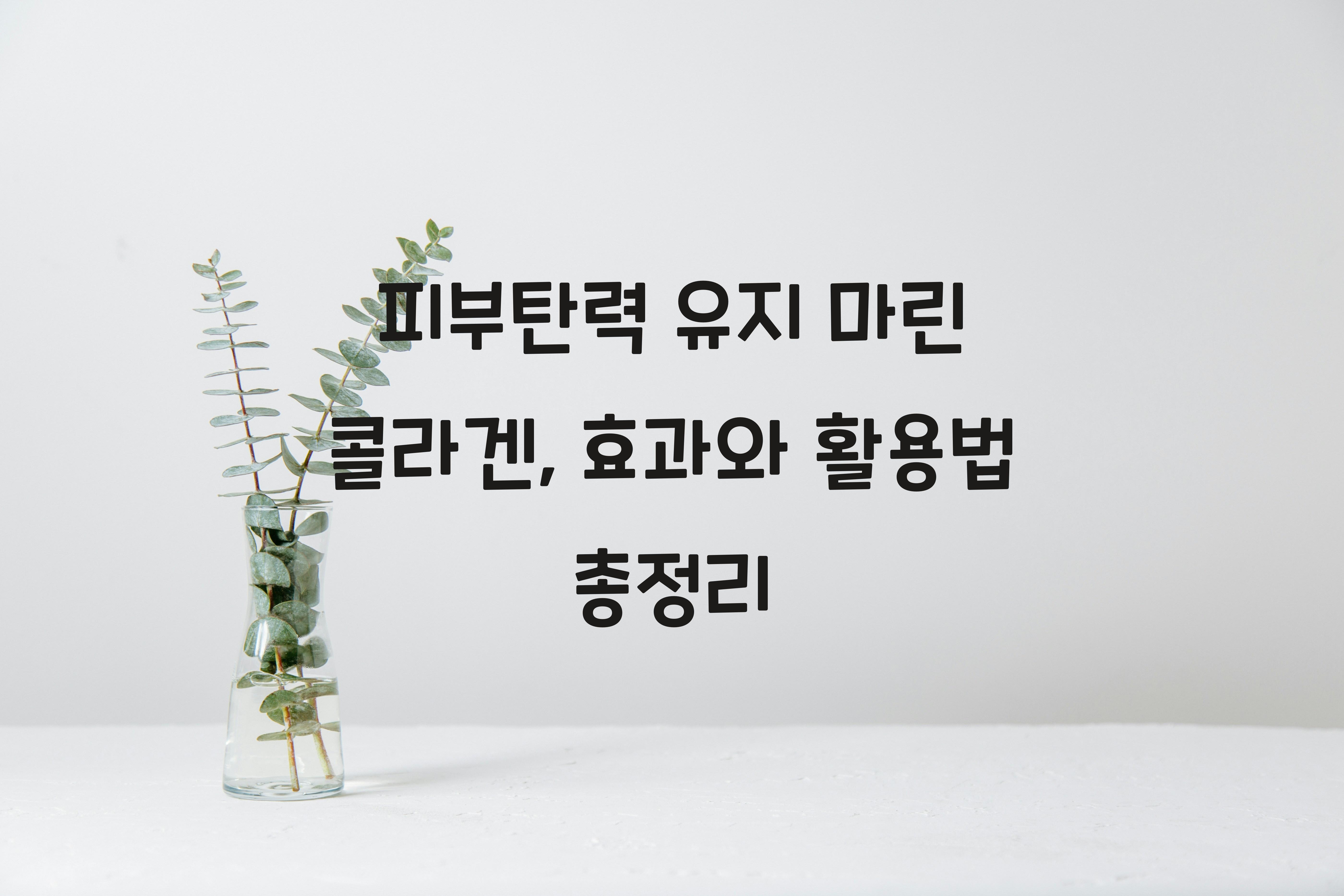 피부탄력 유지 마린 콜라겐