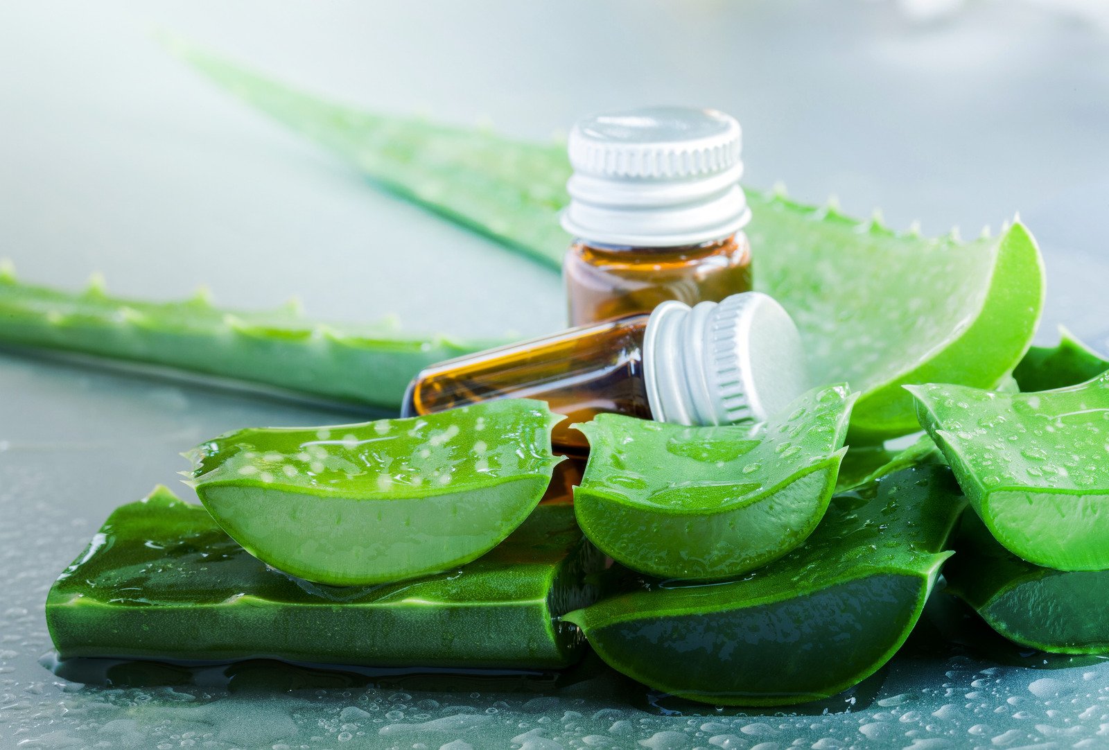 천연 성분을 활용한 피부 관리: 알로에, 꿀, 오트밀 등 자연 그대로의 스킨케어