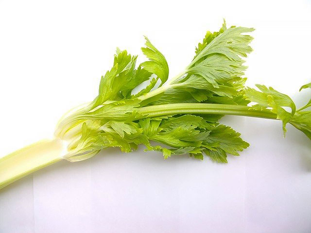 뱃살 없애는데 좋은 음식 - 샐러리