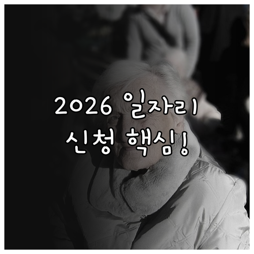 2026년 노인일자리 사업 신청 시기..