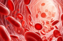 오메가 홍국 코엔자임 식이섬유 차전자피 이눌린 폴리코사놀