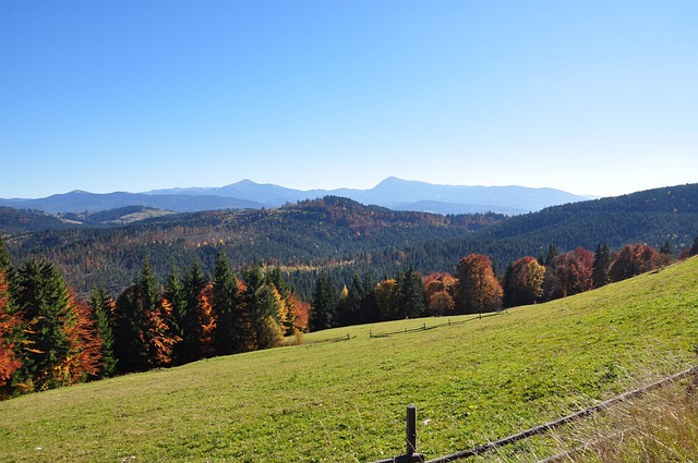 어느 넓은 초원 사진