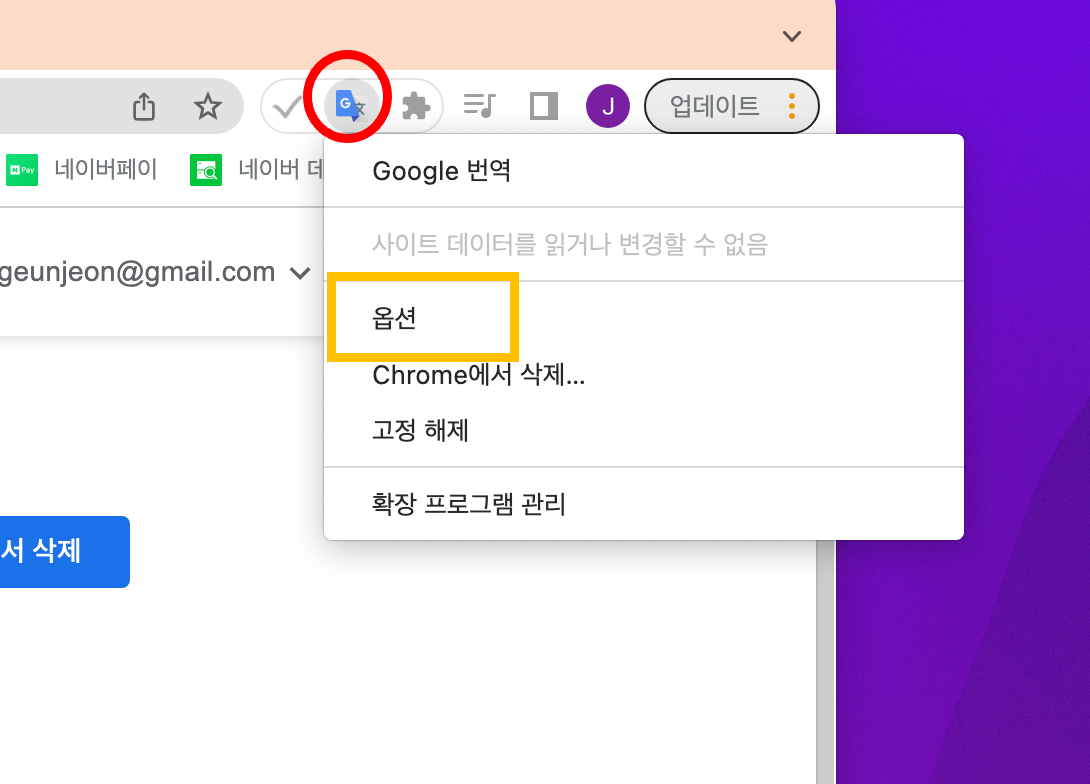 구글번역기 옵션 설정