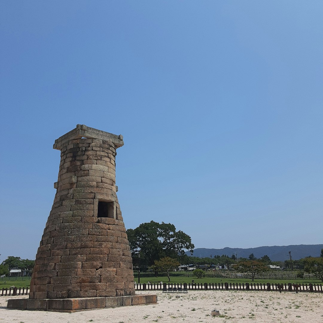 2025 경주벚꽃 만개 시기: 놓치지 말아야 할 봄꽃 명소와 축제 안내 관련 이미지 1
