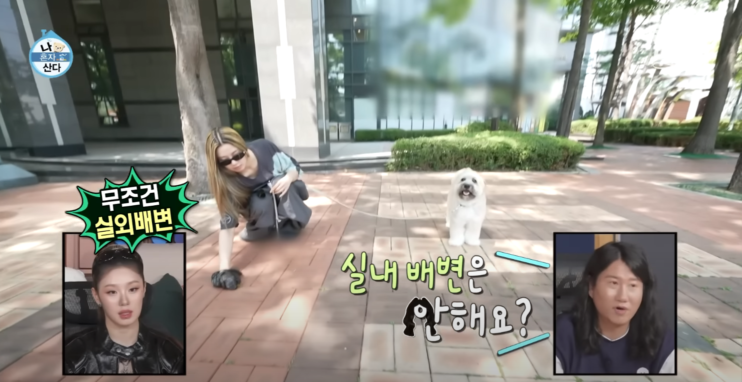 리정집,리정 아파트 위치,나혼자산다 리정집,리정 인테리어,리정 노윤서,리정 두두