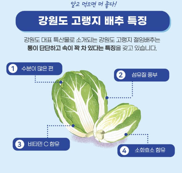 절임배추 20kg 추천