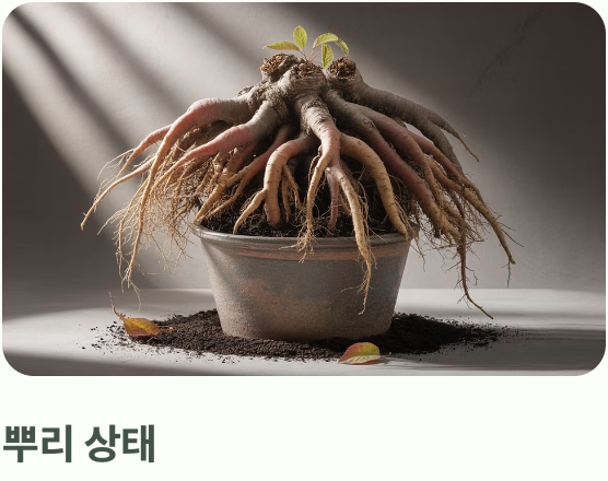 첫 단추가 중요해요, 튼튼한 모종 고르기