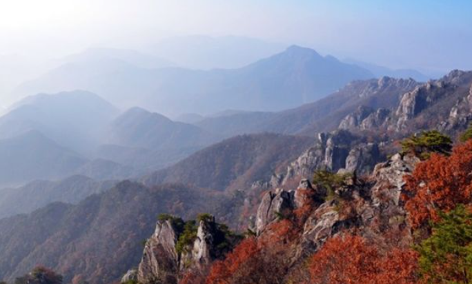 2025 충청도 단풍 명산 코스 추천 ❘ 월악산·계룡산·속리산 절정 시기