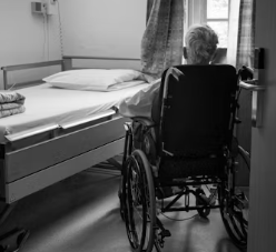 알츠하이머병 증상 원인 예방 가이드북