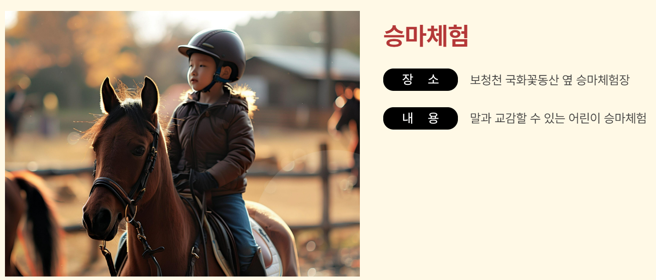 황금대추 이벤트 보은 대추축제 행사 승마체험