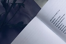 글루타치온 효능