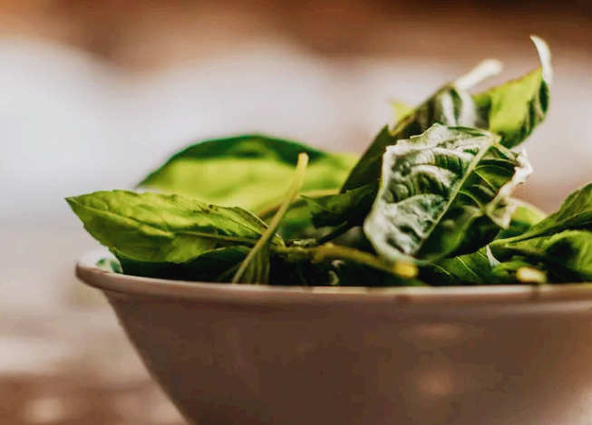 혈압에 도움되는 칼륨 많은 시금치