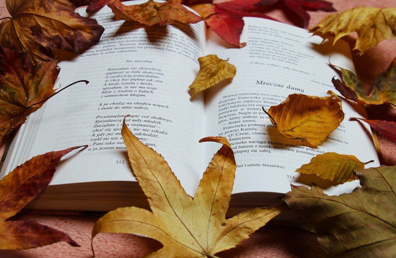 책 위로 떨어진 붉게 물든 단풍 낙엽