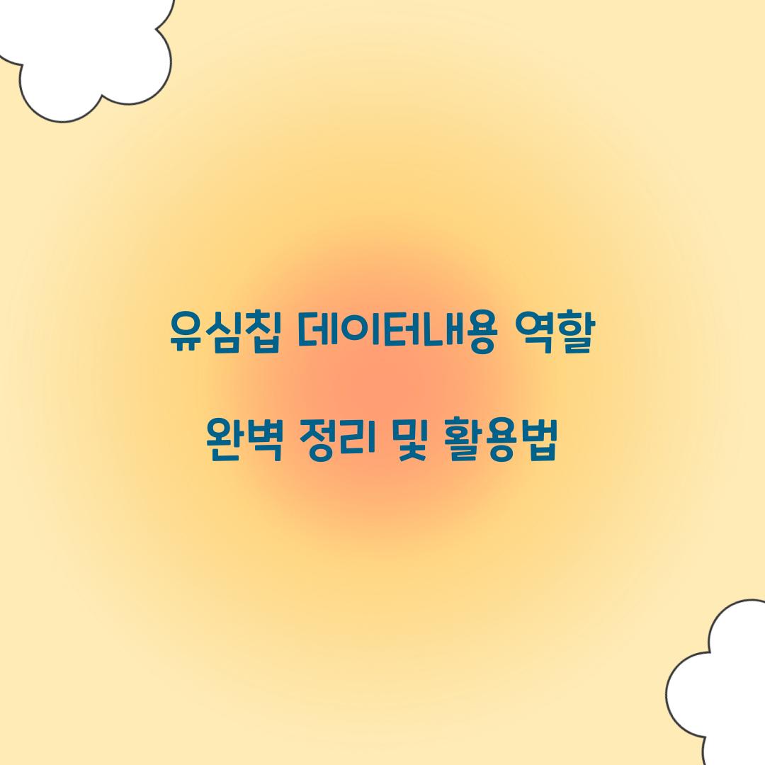 유심칩 데이터내용 역할