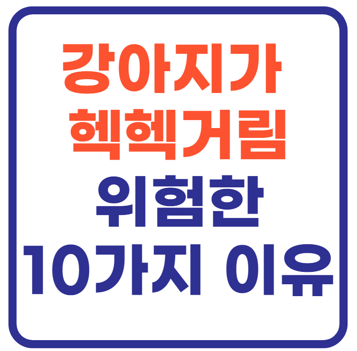 강아지가 헥헥거려요(+위험한 10가지 이유)