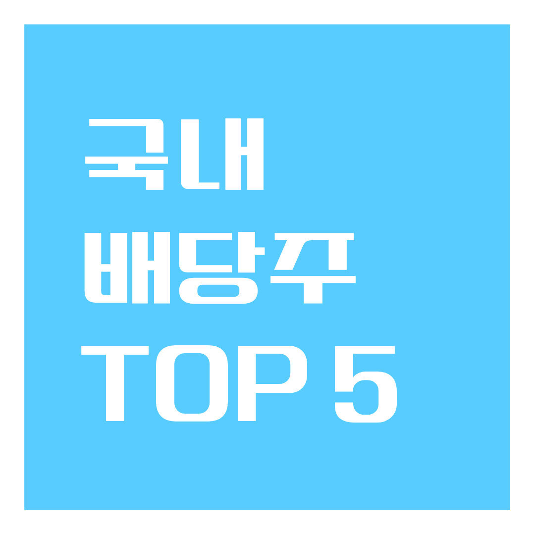 국내 배당주 TOP5: 상세분석 , 종목비교, 제언