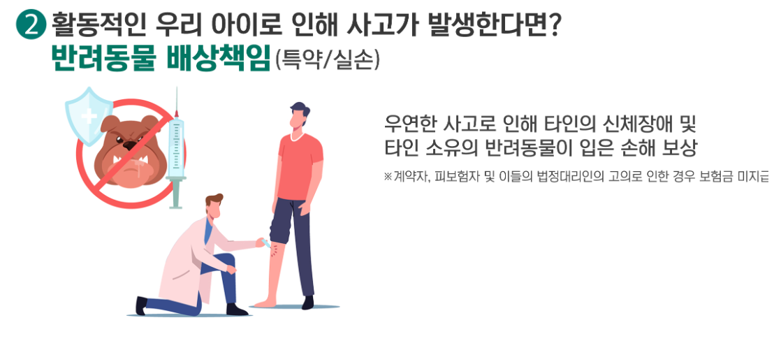 펫보험 펫실비보험 반려견 반려묘