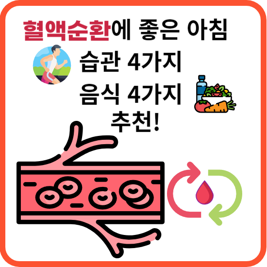 혈액순환