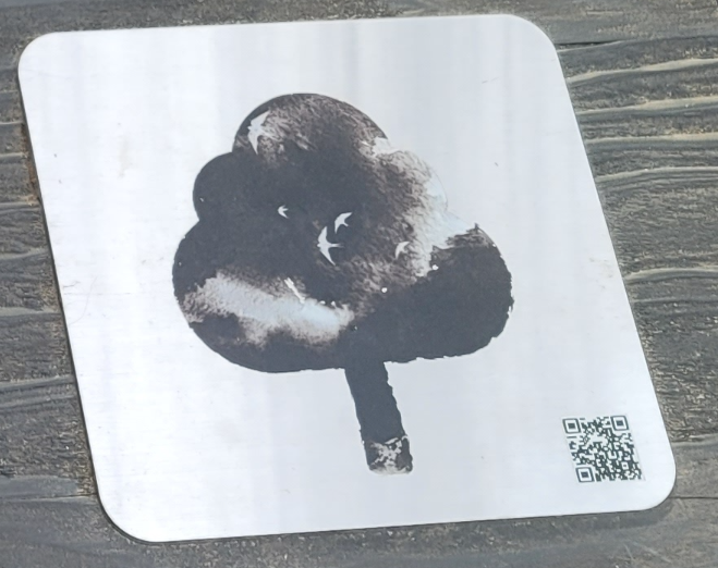 1.21 사태 관련 영상 보기