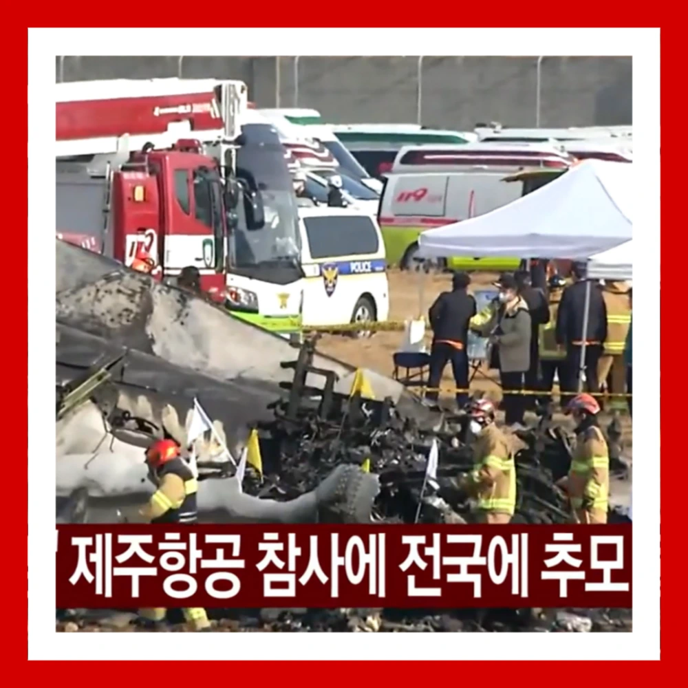 해맞이-행사-취소-전국-울산-부산