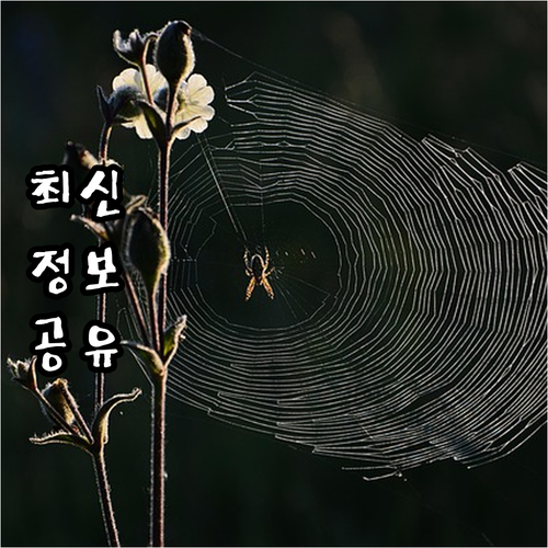 복잡한 폐기물 처리? 은평구는 인터넷..