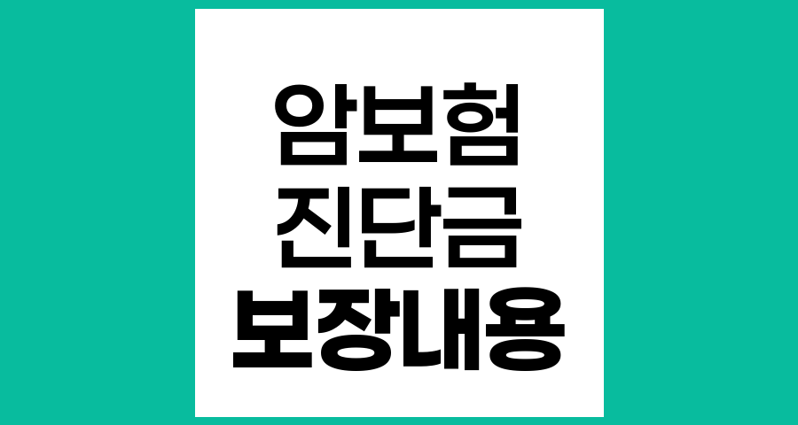 암보험 핵심 정리와 현명한 선택 방법