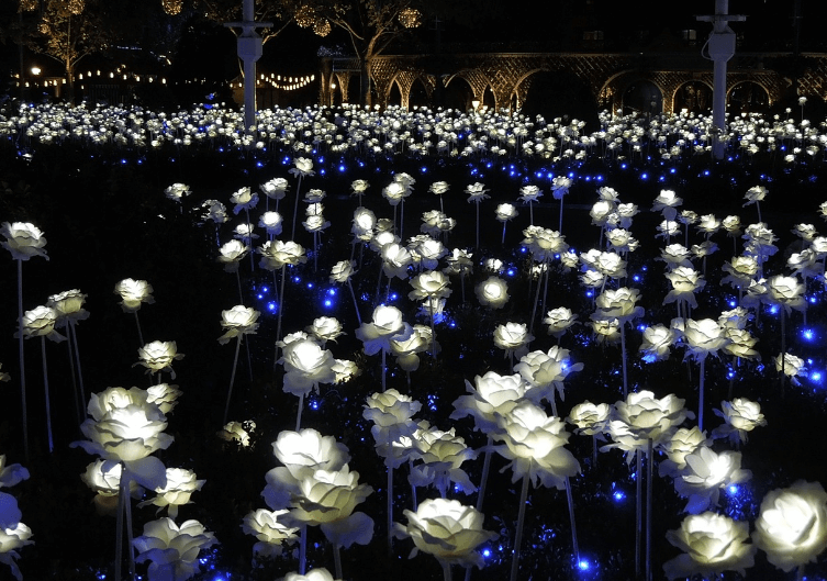 빼빼로데이 선물 추천