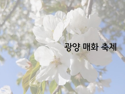 매화