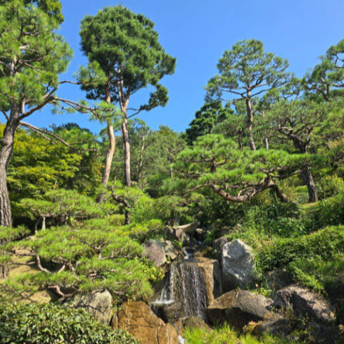 화담숲 예약 인원 