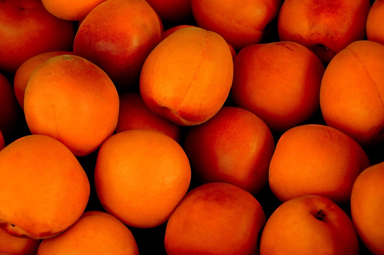 연말정산 기부금 공제&amp;#44; 고향사랑기부제는 얼마나 돌려받을까?