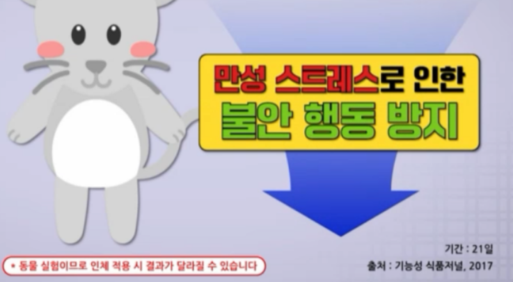 흑마늘 SAC 효능