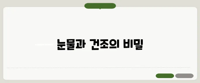 안구건조증 증상 눈물 나는데 더 건조한 이유