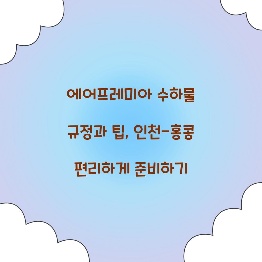 에어프레미아 수하물