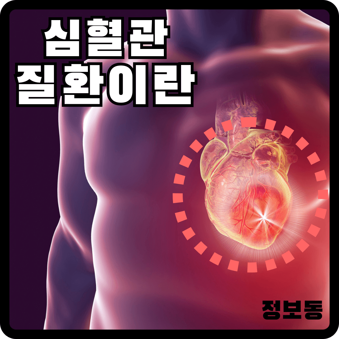 심혈관 질환이란 필수 심장 건강 운동
