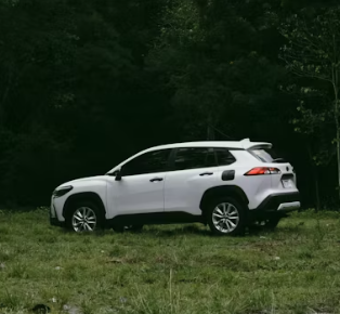 중고차 가격 시세표