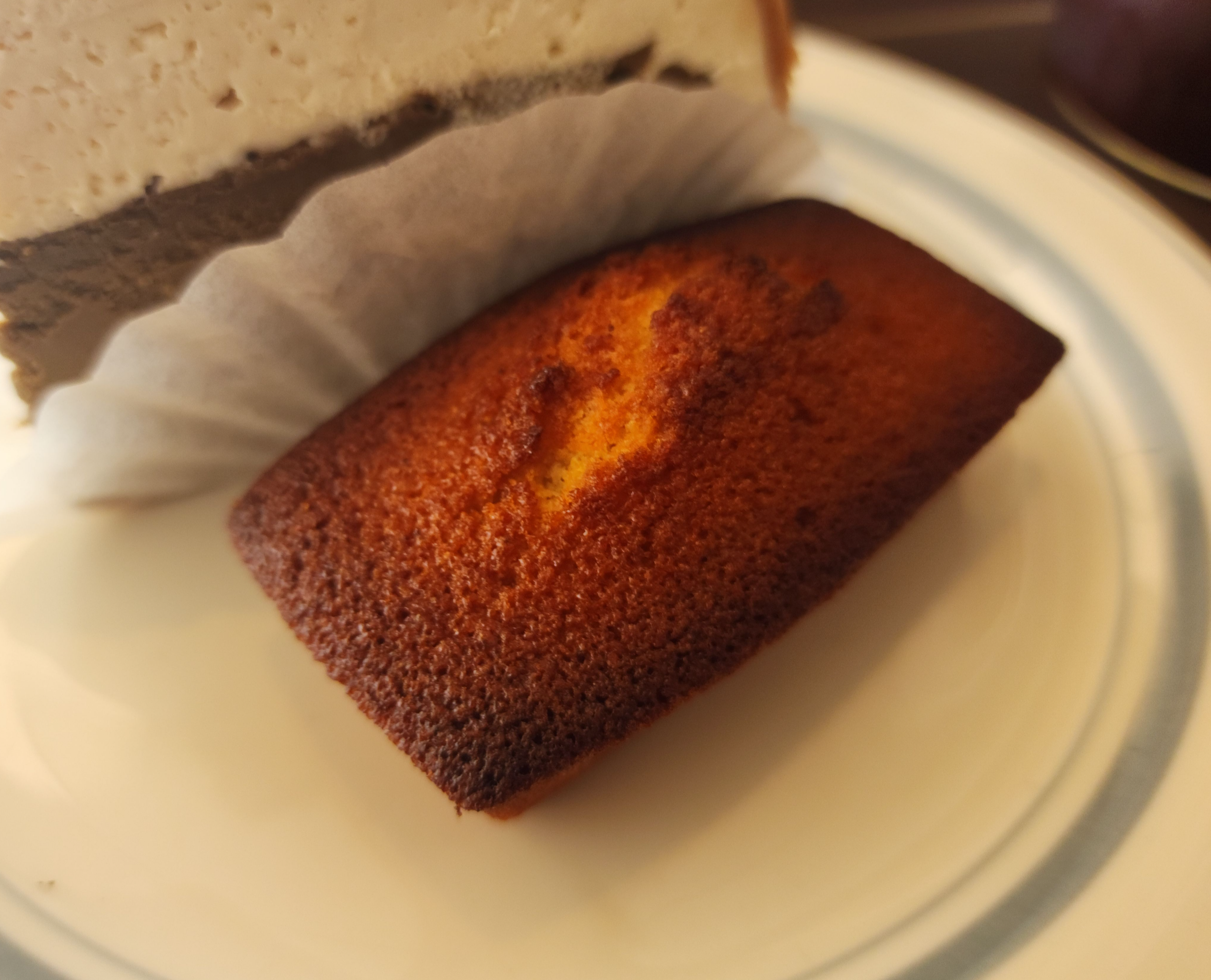 썸띵어바웃커피