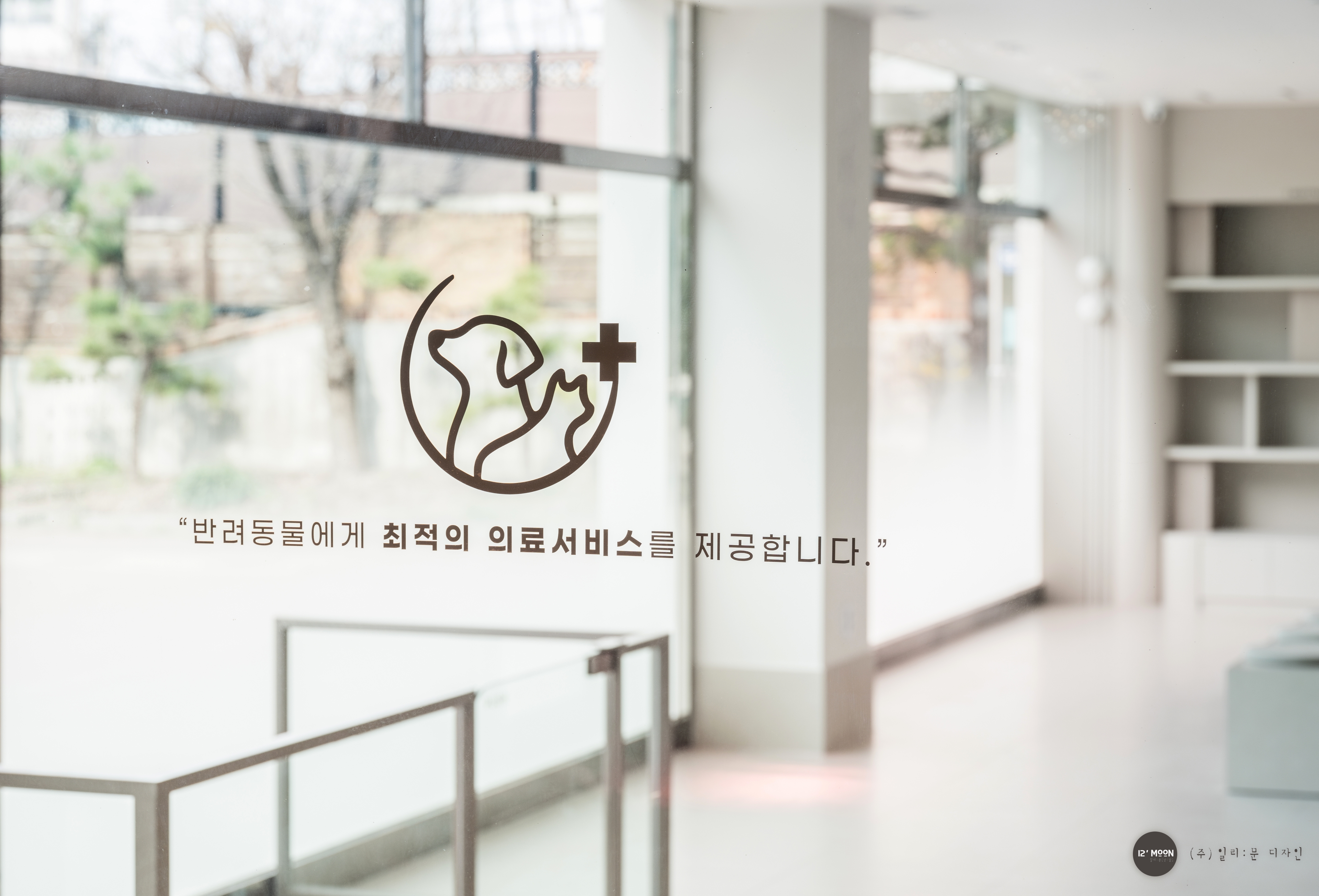 백동물의료센터