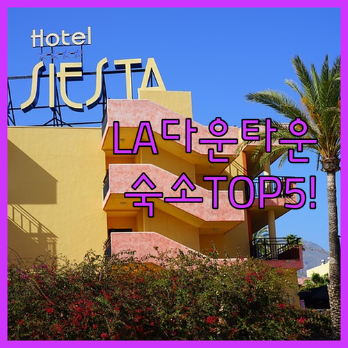 LA 다운타운 숙소 베스트 5 실제 ..