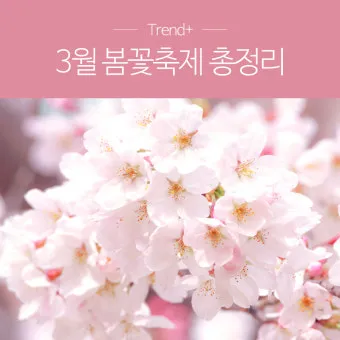 봄꽃 여행지 베스트10 벚꽃 유채 튤립 명소와 걷기 좋은 코스_9