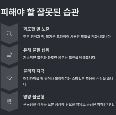 탈모 원인, 특징(초기증상), 예방관리(샴푸,영양제,약,좋은음식) 방법 총정리