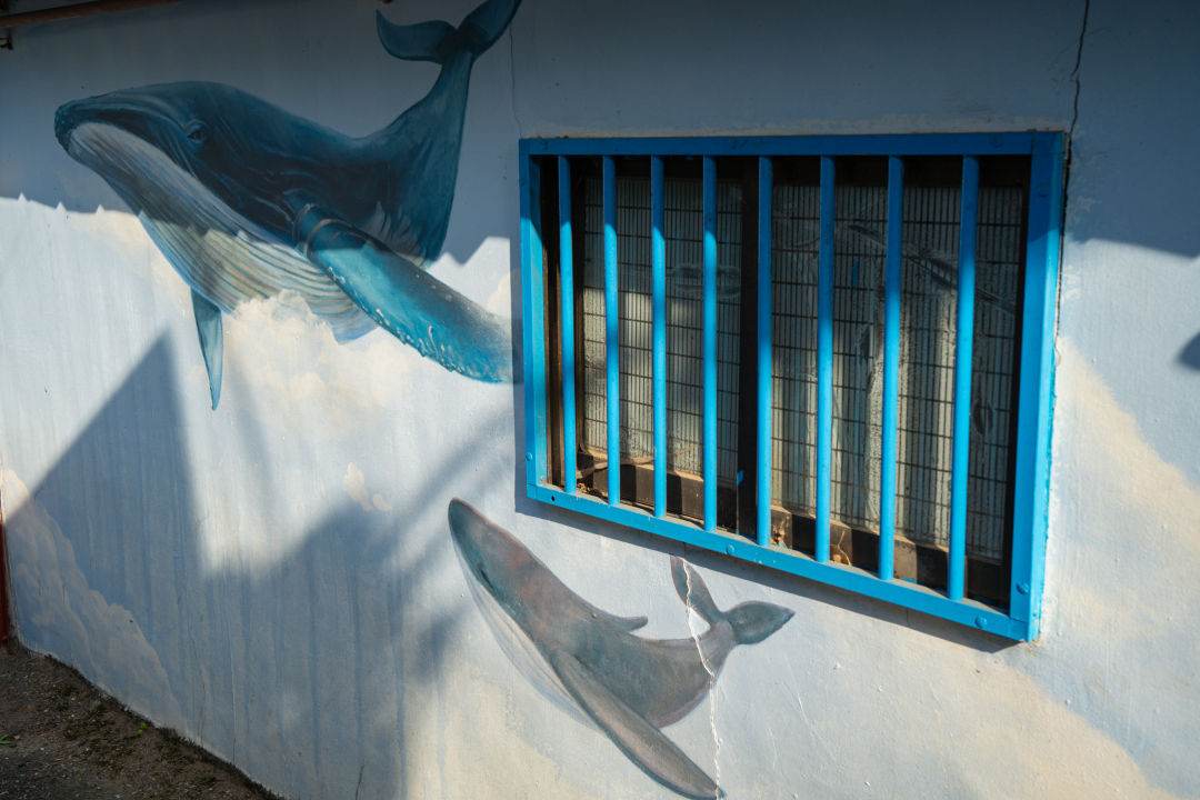 지동벽화마을 벽화