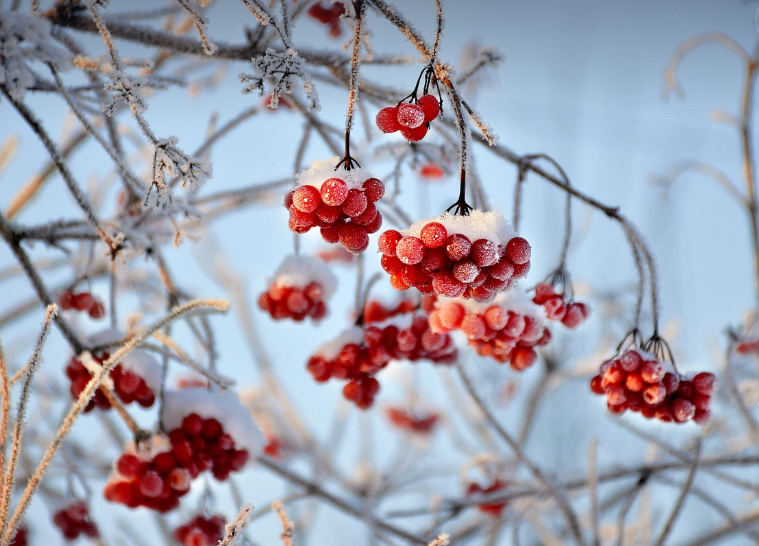 기부금 영수증, 세액 공제 받기, 기부단체